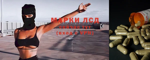 мдпв Корсаков
